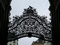 Wien (393)